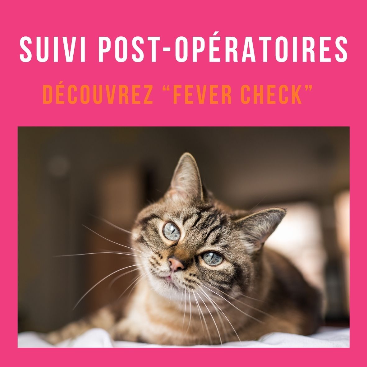 Suivi des patients post-opératoires : et si vous simplifiez la vie de vos clients (et de vos patients) ?